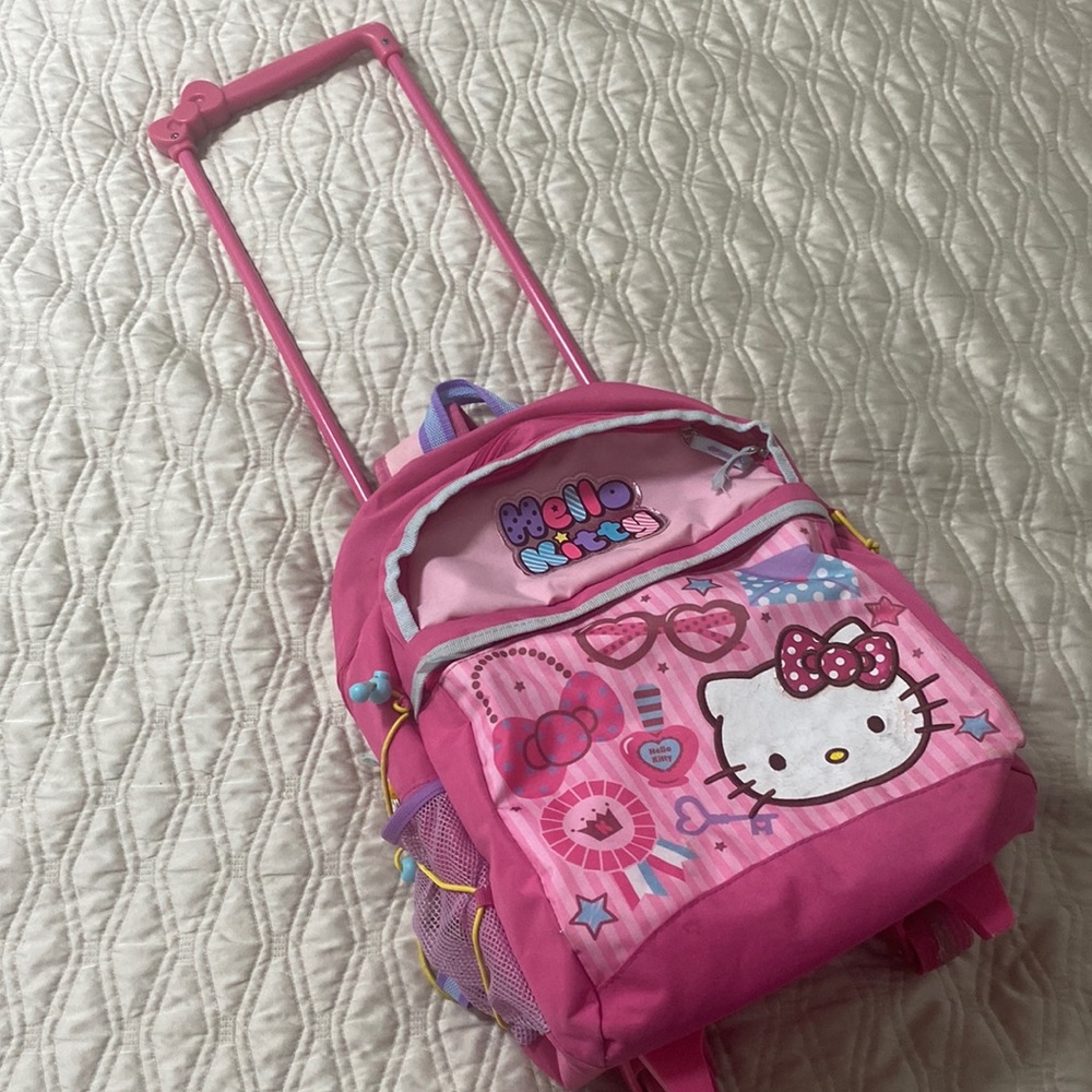 Hello Kitty back pack carrion.